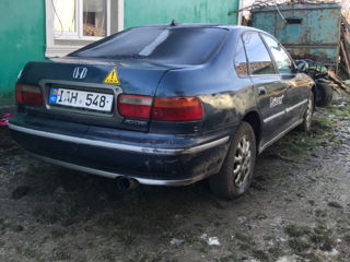 Honda Accord foto 4