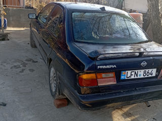 Nissan Primera foto 4