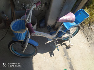 Bicicleta foto 2