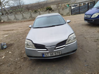 Nissan Primera foto 2