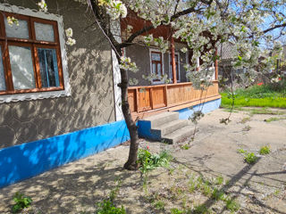 Se vinde casa in satul chiperceni foto 6