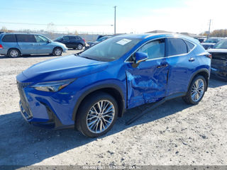 Lexus NX Series foto 3