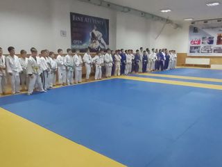 Judo Sambo  de la 5 ani-20Дзюдо Самбо от 5 лет foto 2