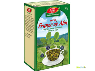 Ceai Matcha pulbere ecologica Чай Матча порошок foto 14