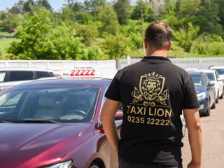 Taxi Orhei Lion foto 2