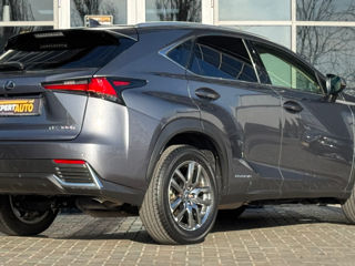 Lexus NX Series foto 6