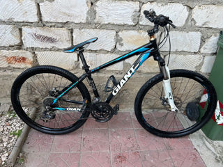 Giant Roam XR. foto 5