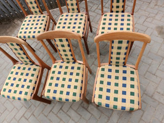 Set 6 scaune lemn foto 3