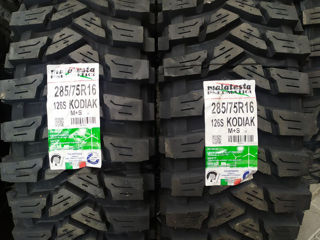 40x13.50-17  35x12,5-17 maxxis trepador M8060 foto 4