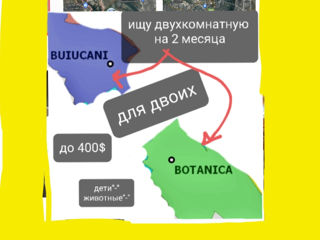 Ищу снять в аренду двухкомнатную в Кишинёве район Ботаника и Баюканы