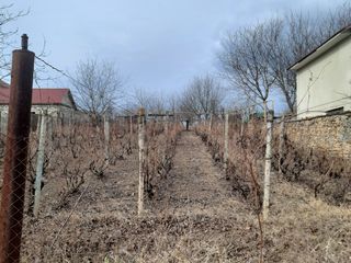 Vînd lot de teren pentru construcții in Soroca