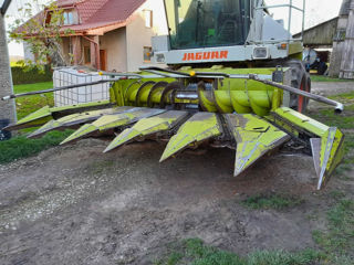 Heder(жатка) porumb 6rînduri pentru combină de siloz/senaj   Claas Jaguar, New holland, John deere foto 4