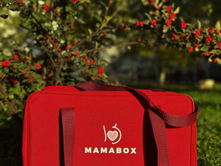 Сумки Mamabox foto 3