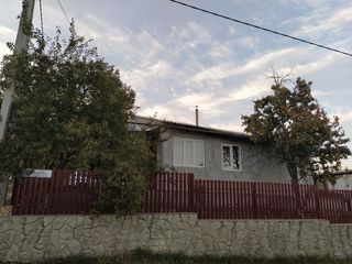 Бам foto 6