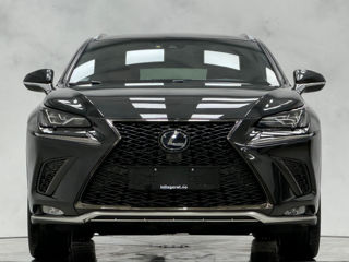 Lexus NX Series