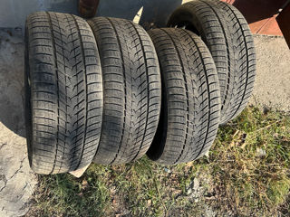 Grenlander IceHawke II 255/ 50 R19 foto 2