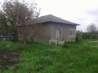 Se vinde urgent casă în satul Răuțel, raionul Fălești foto 2