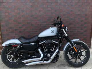 Harley - Davidson IRON 883 foto 2