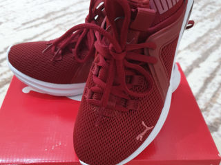 Puma 36m