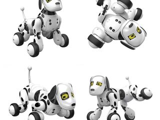 caine robot aibo