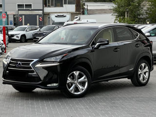 Lexus NX Series