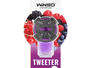 Winso Tweeter 8Ml Wildberry 530790