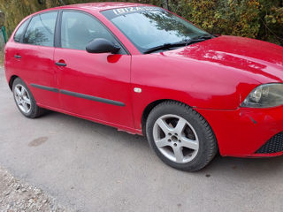 Seat Ibiza foto 2