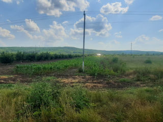 1 ari la traseu, 15 metri iesire spre traseu, 143 m în adîncime, acces de pe 2 drumuri, cu gaz, apă  foto 8