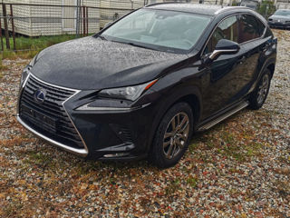 Lexus NX Series