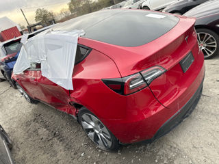 Tesla Model Y foto 5