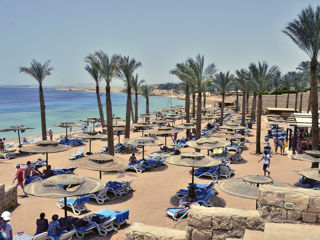 Sharm el sheikh super pret zbor pe 30.08 hotel ''Continental plaza beach & aqua park resort 4* ''! foto 13