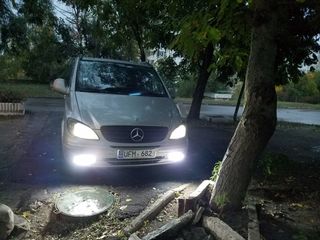 Mercedes Viano foto 7