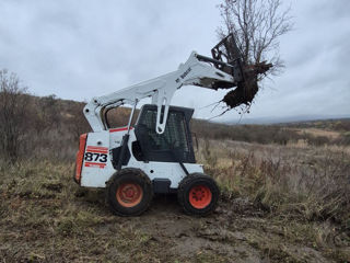 Bobcat, defrișare terenurilor agricole. bobcat foto 0