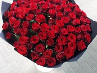 Eustoma 10 lei/crenguta. Buchete imense la preturi angro! foto 8