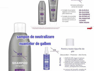 Set șampon/conditioner/masca Par blond foto 5