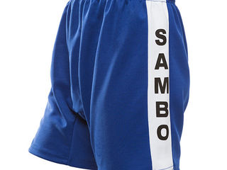 Самбовка Mizuno куртка+шорты(эластан) рост  180 cm foto 5