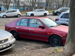 Nissan Primera foto 10