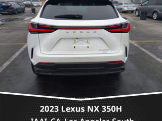 Lexus NX Series foto 11