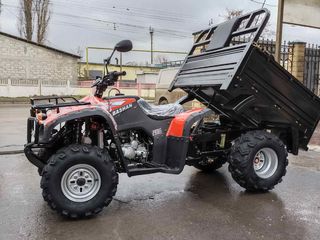 Altă marcă ATV cu remorcă 250CC foto 3