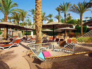 Egipt, Sharm El Sheikh - Grand Rotana Resort & Spa 5* foto 5