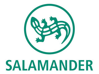 Salamander foto 3