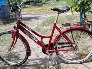 Bicicletă Premium, 7 viteze Shimano Nexus, nouă