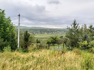 Se vind terenuri 4 hectare la marginea pădurii. Logănesti. foto 1