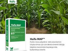 Haifa MAP / Monoamonium Fosfat / Haifa Chemicals Ltd. foto 2