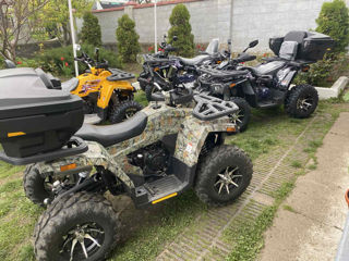 Altă marcă Comman ATV Shark 200 foto 4