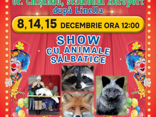 Circus-Sapito  -- Show cu animale salbatice!