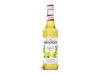 Sirop de Bergamotă Monin, Franța, Sticlă 700 Ml, Livrare Moldova foto 2