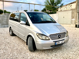 Mercedes Viano foto 3