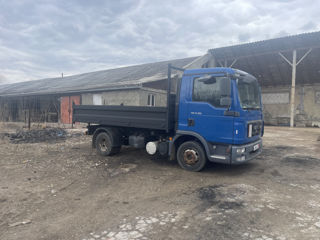 Man TGM 8-180 foto 6