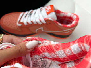 Nike SB Dunk Lobsters Orange Unisex 36-45 foto 8